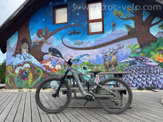 VTT TREK Trail+ 9.7 Gen 5 Neuf - 2