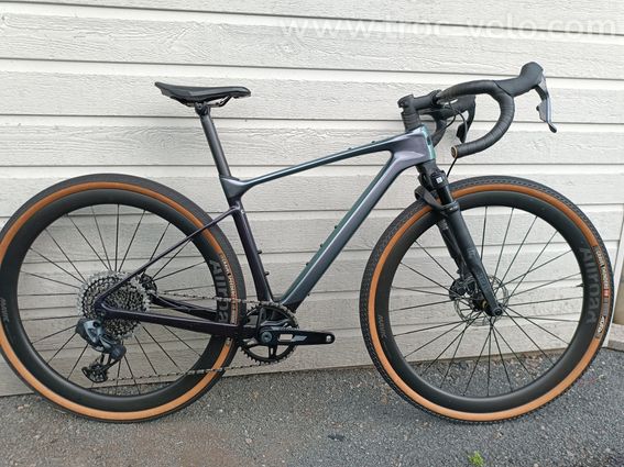 Giant Revolt X