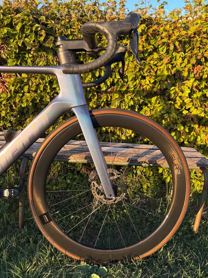GIANT Propel Advanced 1 - 2025 - 3