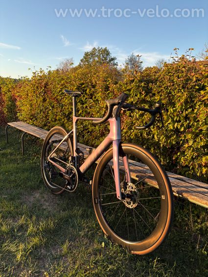 GIANT Propel Advanced 1 - 2025 - 2