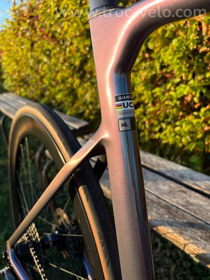 GIANT Propel Advanced 1 - 2025 - 5