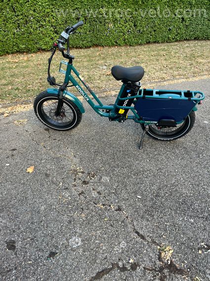 Vélo électrique cargo