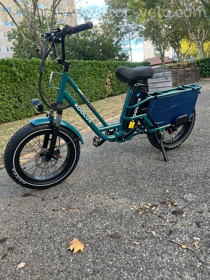 Vélo électrique cargo - 2