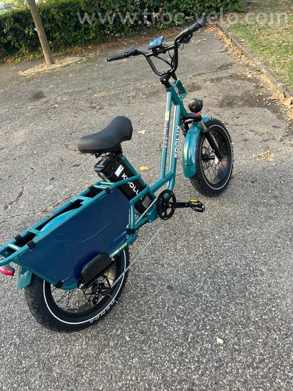 Vélo électrique cargo - 7