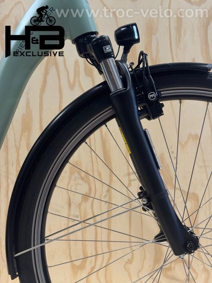 Riese & Müller Swing4 Silent Vélo électrique Shimano Nexus 2024 - 3