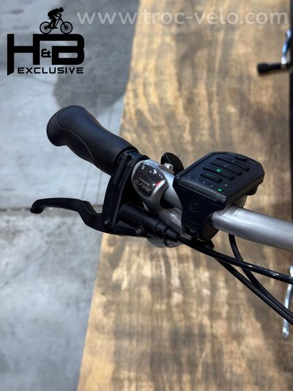 Van Raam Twinny E Vélo électrique Shimano Nexus 2022 - 5