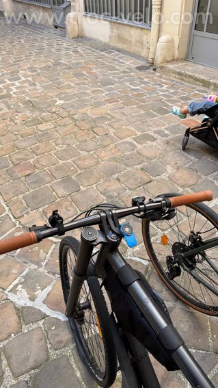 Cannondale Bad Boy 1 – Taille L – Courroie Gates – Fourche Lefty - 2