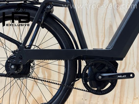 Riese & Müller Nevo4 GT Vario ABS Vélo électrique Enviolo 2024 - 13