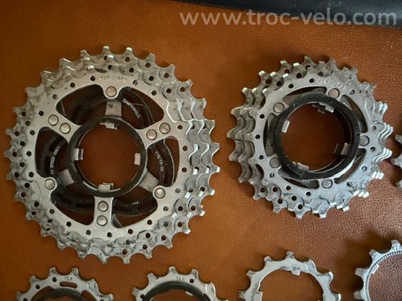 Cassette Campagnolo 11v 12-29 - 3