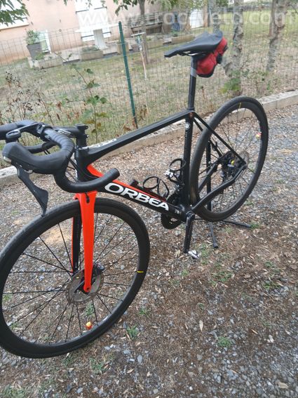 Orbea orca