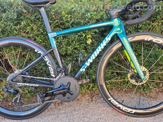 cadre specialized sl8
