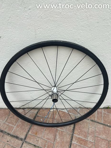 Roue vison carbon - 1