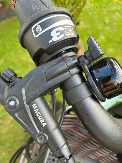 COMME NEUF : Riese & Müller Swing3 Vario Urban 2021 – 992 km – Courroie Enviolo – État neuf - 14