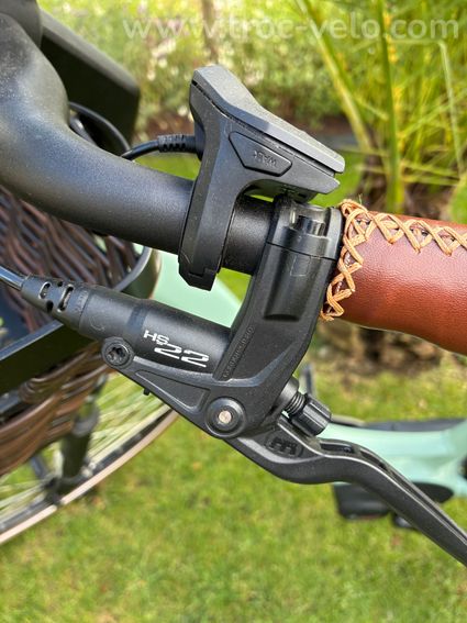 COMME NEUF : Riese & Müller Swing3 Vario Urban 2021 – 992 km – Courroie Enviolo – État neuf - 15