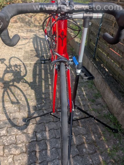 Wilier Triestina Gtr Team - 6