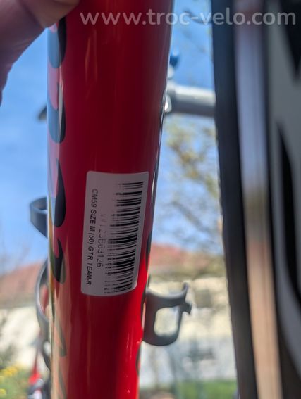 Wilier Triestina Gtr Team - 10