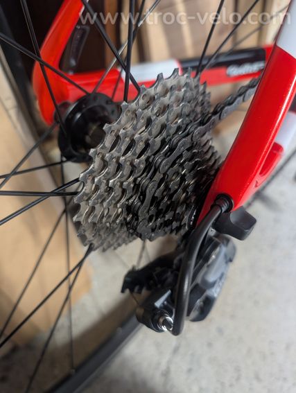Wilier Triestina Gtr Team - 13