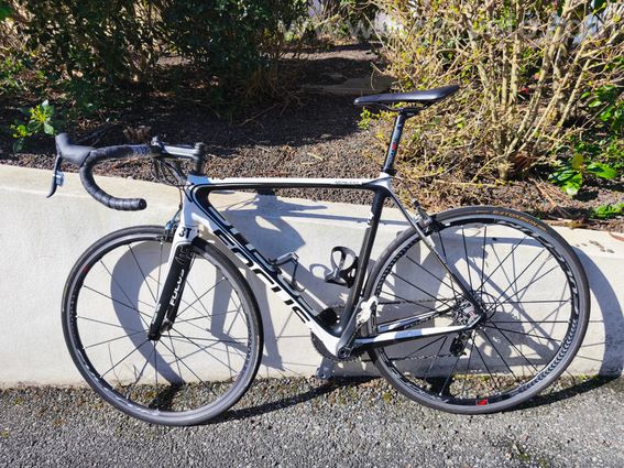 Focus Izalco montage haut de gamme - 2