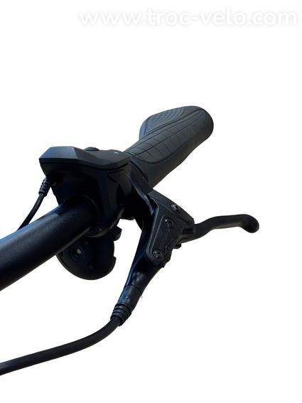 Hercules Futura Compact R5 Vélo électrique Shimano Nexus 2022 - 6