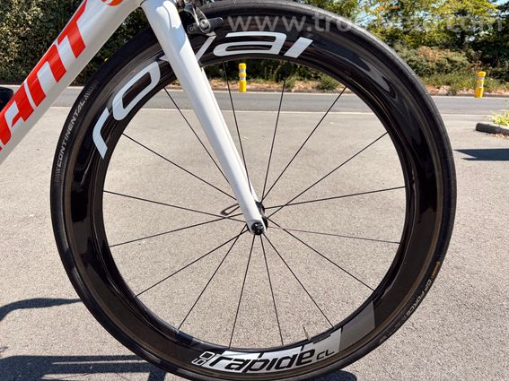 Giant TCR ADV3 - 4