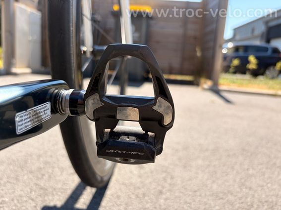 Giant TCR ADV3 - 6