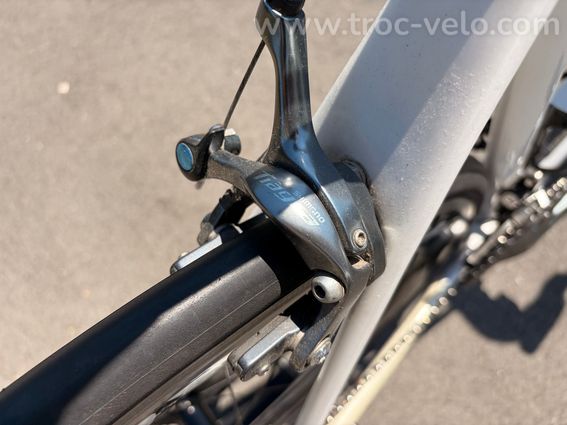 Giant TCR ADV3 - 8