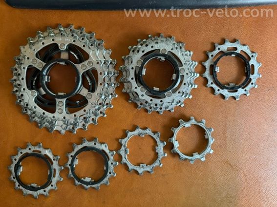 Cassette Campagnolo 11v 12-29 - 2