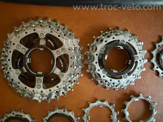 Cassette Campagnolo 11v 12-29 - 3