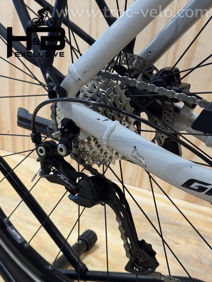 Giant DailyTour E+ 3 LDS Vélo électrique Shimano Alivio 2022 - 14