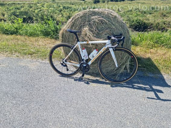 Argon18 galium pro 2019 - 2