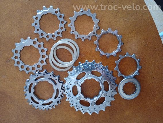 Campagnolo - 5