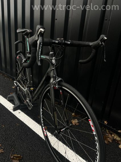 Bianchi Intenso - 3