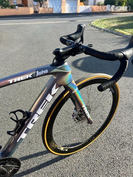 TREK DOMANE - ELISA LONGO BORGHINI - 5