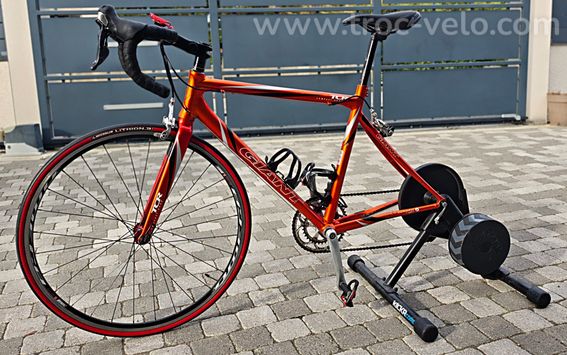 Giant TCR patins - 4