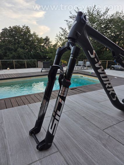 Specialized Epic S-works Evo taille L - 4