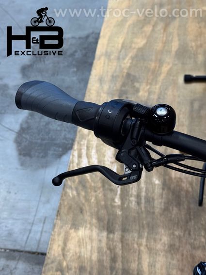 Riese & Müller Charger4 GT Vario Vélo électrique Enviolo 2024 - 5