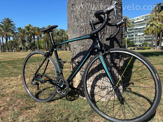 Bianchi Intenso carbone taille 55 - 8