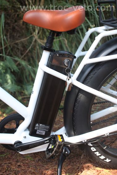 Fat Bike Électrique Zippi Bikes – Neuf – Jusqu’à 80 km d’autonomie - 9