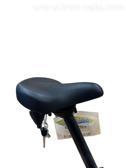 Hercules Prima 5E Vélo électrique Shimano Nexus 2024  - 9