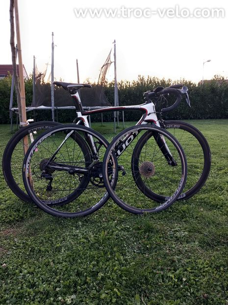 Kuota carbone  - 2