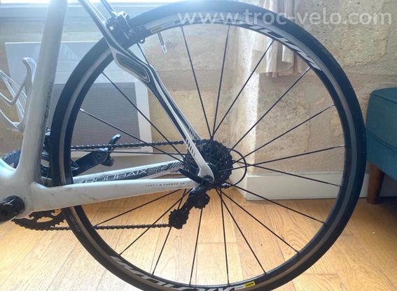 Specialized Roubaix SL4 Carbone – Taille 56 (L) – Prêt à rouler - 4