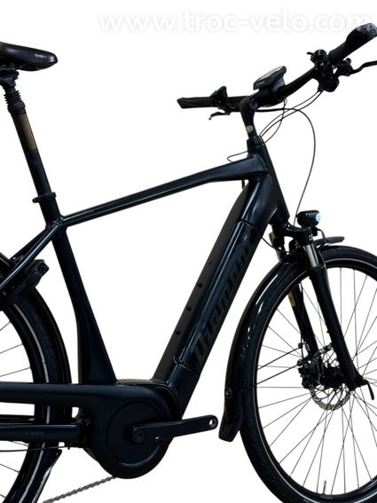 Diamant Mandara Deluxe+ Vélo électrique Shimano Deore 2022 - 12