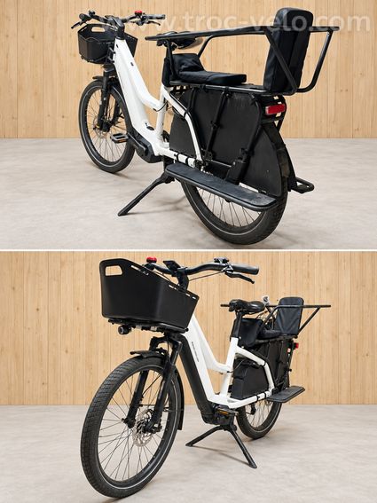 Riese & Müller Mixte GT Family - 2