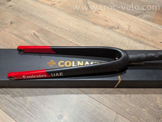 fourche Colnago V4RS - 2