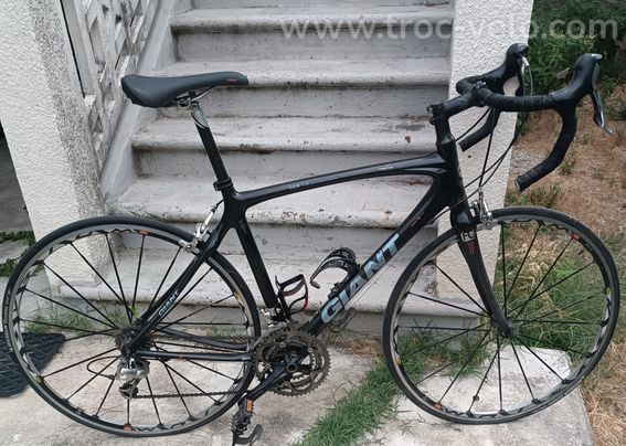 vélo de route carbone Giant SCR 1.0 Tm