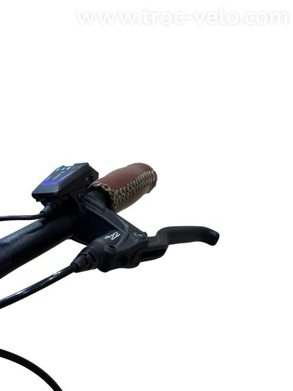 Riese & Müller Cruiser2 Mixte Vario Vélo électrique Enviolo 2024 - 7