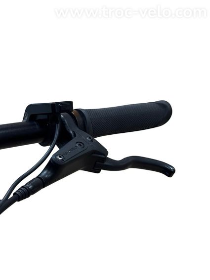 Tenways CGO600 Pro Vélo électrique Single-Speed 2023  - 6