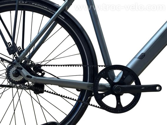 Tenways CGO600 Pro Vélo électrique Single-Speed 2023  - 13