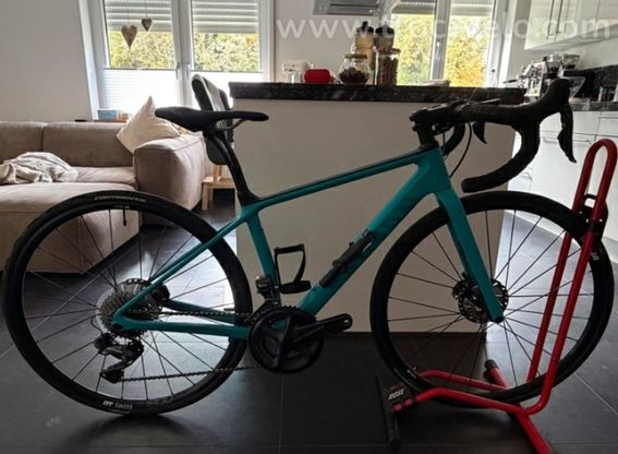 Canyon Endurace CF SL WMN Disc 8.0