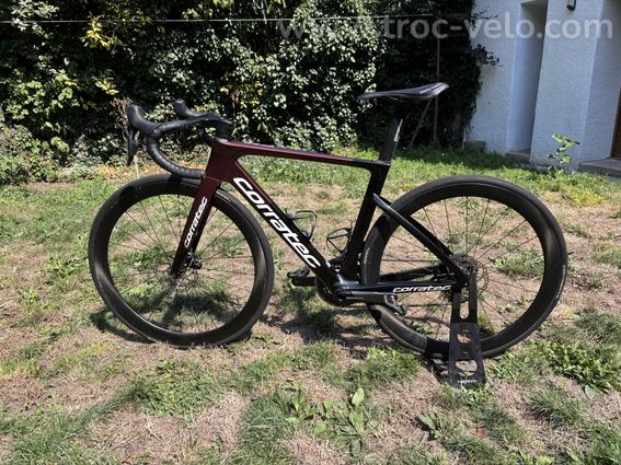 Corratec CCT EVO team replica 2024 - 2